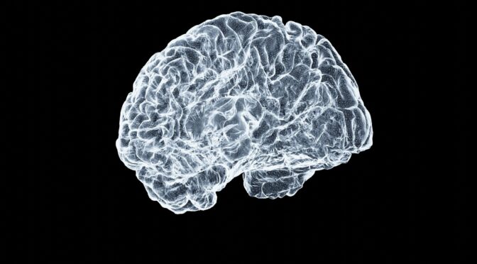 brain